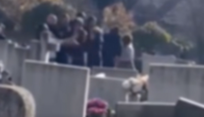 N&eacute;pes csal&aacute;d esett egym&aacute;snak a Keleti temetőben h&eacute;tv&eacute;g&eacute;n - VIDE&Oacute;