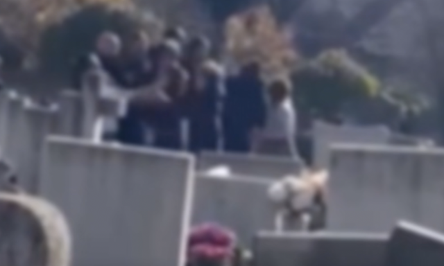 N&eacute;pes csal&aacute;d esett egym&aacute;snak a Keleti temetőben h&eacute;tv&eacute;g&eacute;n - VIDE&Oacute;