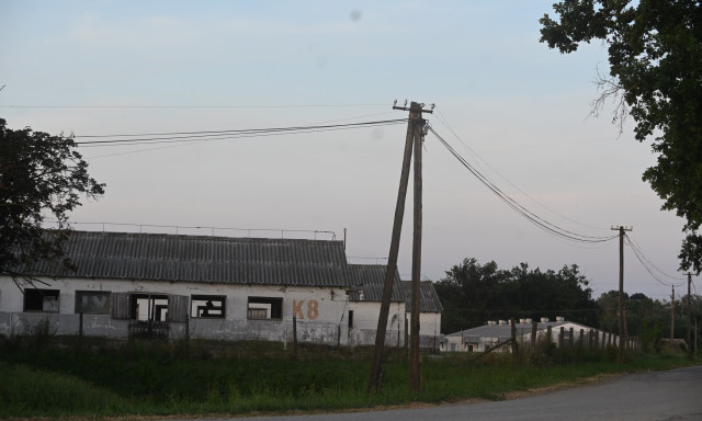 T&aacute;rsa &eacute;let&eacute;t mentette - Hal&aacute;los munkabaleset t&ouml;rt&eacute;nt Somogytarn&oacute;c&aacute;n