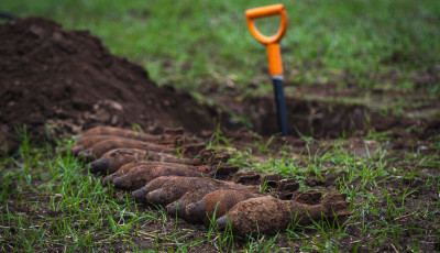 Robban&oacute;szert tal&aacute;ltak a Balatonn&aacute;l