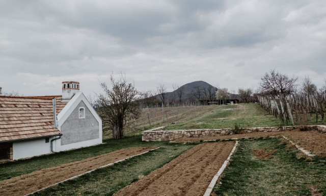 Kihirdett&eacute;k Magyarorsz&aacute;g Legszebb Szőlőbirtokait - Itt a 2025-&ouml;s győztesek list&aacute;ja