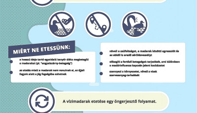 Ne etess&uuml;k a v&iacute;zimadarakat a Balatonn&aacute;l se