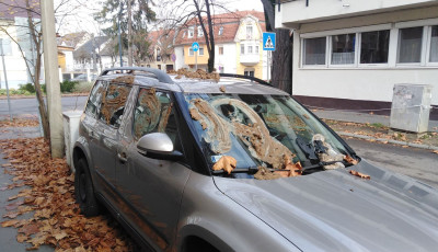 Ez szarügy - Nyakig kenték ürülékkel a parkoló autót