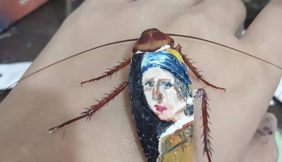 V&aacute;szon helyett kitin &ndash; Van Gogh, Mona Lisa a cs&oacute;t&aacute;nyok p&aacute;nc&eacute;lj&aacute;n