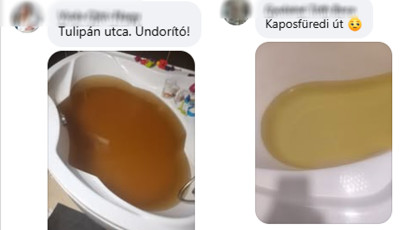 Koszos, barn&aacute;s v&iacute;zre panaszkodnak a kaposf&uuml;rediek, a hat&oacute;s&aacute;gokhoz fordulnak a r&eacute;g&oacute;ta ism&eacute;tlődő probl&eacute;ma miatt