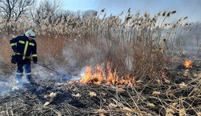 L&aacute;ngok csaptak fel a n&aacute;dasban S&aacute;volyn&aacute;l