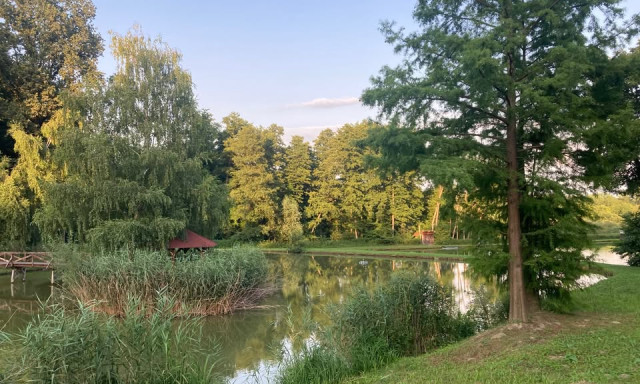 T&uacute;r&aacute;zz a Zselic&eacute;rt! - Zselicv&eacute;dő gyalogos t&uacute;r&aacute;t szerveznek a k&ouml;rny&eacute;k v&eacute;delm&eacute;&eacute;rt