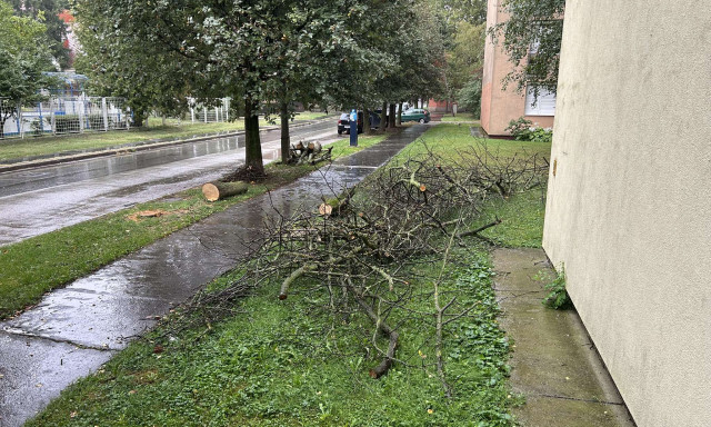 H&aacute;rom hete hajnalban kellett kiv&aacute;gni a Damjanich utcai f&aacute;kat, elsz&aacute;ll&iacute;tani az&oacute;ta sem siker&uuml;lt őket