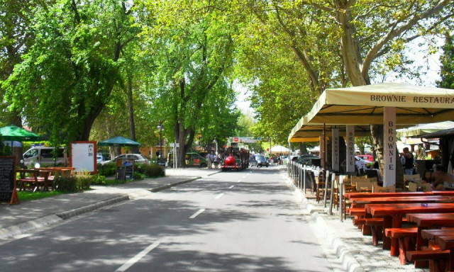 Figyelni kell hova pisil&uuml;nk Si&oacute;fokon... T&ouml;megesen pusztulnak a f&aacute;k a vizelettől