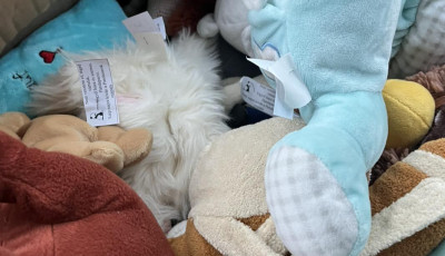 50 darab meglepet&eacute;s pl&uuml;ssre bukkanhattok ma Kaposv&aacute;ron &eacute;s k&ouml;rny&eacute;k&eacute;n