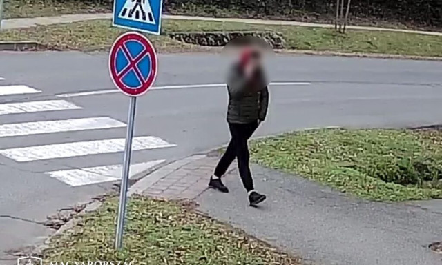 Rendszeresen h&uacute;zkodta a kaposv&aacute;ri taxisokat, de m&eacute;g saj&aacute;t anyj&aacute;t is meglopta