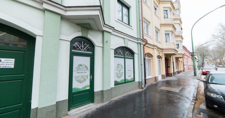 Cukorbeteg vagy, magas a vérnyomásod vagy sok a stressz? - Irány a természetgyógyász, mi kipróbáltuk!