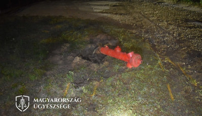 A tűzcsap sem &aacute;ll&iacute;totta meg a r&eacute;szeg sofőrt