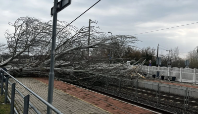 Komoly fennakad&aacute;sok a Balatonn&aacute;l: fa dőlt a s&iacute;nekre Zam&aacute;rdin&aacute;l