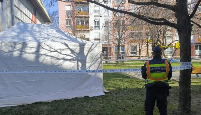 Holtan tal&aacute;ltak egy f&eacute;rfit Szeksz&aacute;rdon, az egyik j&aacute;tsz&oacute;t&eacute;ren