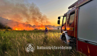 Szemetet &eacute;gettek Kutason, majdnem le&eacute;gett az erdő