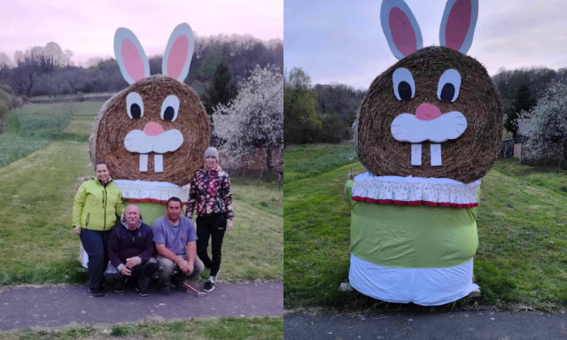 &Oacute;ri&aacute;si szalmab&aacute;la nyuszit &aacute;ll&iacute;tottak T&ouml;r&ouml;csk&eacute;n