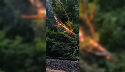 &Iacute;gy &eacute;gett a felsővezet&eacute;kre dőlt fa a Balatonon - VIDE&Oacute;