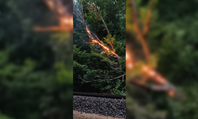 &Iacute;gy &eacute;gett a felsővezet&eacute;kre dőlt fa a Balatonon - VIDE&Oacute;