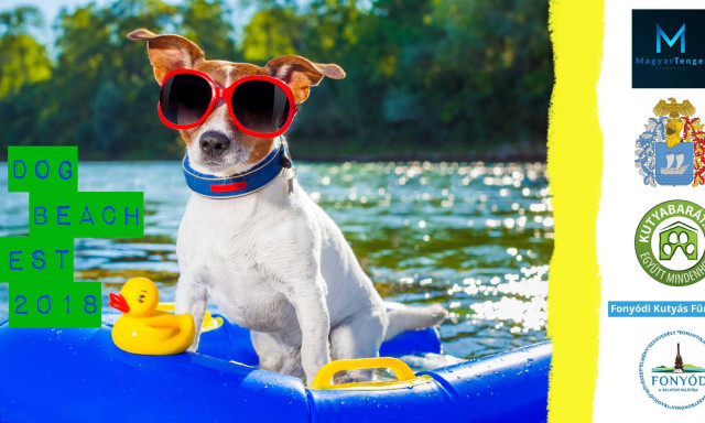 Jövő héten kezdődik a legnagyobb kutyus fesztivál Fonyódon! Jön a Dog Beach Fest!