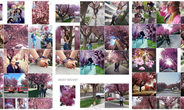 Ism&eacute;t r&oacute;zsasz&iacute;nbe borult Kaposv&aacute;r az Instagramon