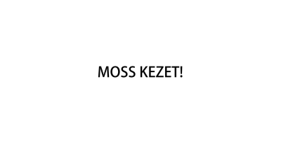A Csiky munkat&aacute;rsai seg&iacute;tenek bev&aacute;s&aacute;rolni az időseknek