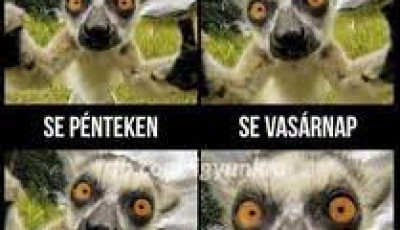 &Iacute;gy lesznek nyitva az &uuml;zletek a n&eacute;gynapos h&eacute;tv&eacute;g&eacute;n