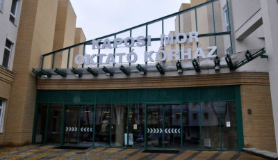 &bdquo;Parancsba kapta&rdquo;, hogy mindenkit &ouml;lj&ouml;n meg Kaposv&aacute;ron - Majdnem meg&ouml;lte &aacute;pol&oacute;j&aacute;t egy elmebeteg