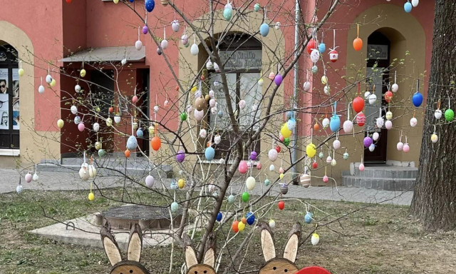 Igaz&aacute;n cuki! T&ouml;bb helyre is nyulas dekor&aacute;ci&oacute;k ker&uuml;ltek ki Kaposv&aacute;ron