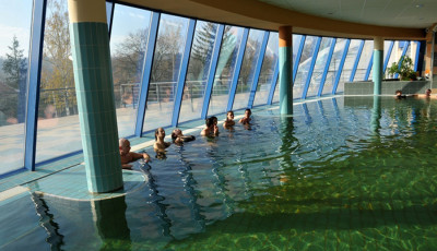 &Uacute;jra megnyit a Kaposv&aacute;ri Vir&aacute;gf&uuml;rdő term&aacute;lr&eacute;szlege