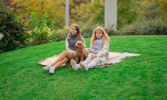 Kuty&aacute;k lept&eacute;k el a kaposv&aacute;ri B&iacute;borligetet - GAL&Eacute;RIA