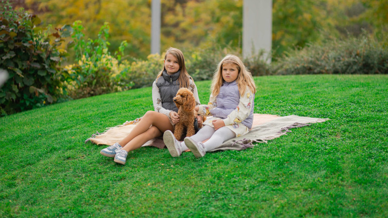 Kuty&aacute;k lept&eacute;k el a kaposv&aacute;ri B&iacute;borligetet - GAL&Eacute;RIA