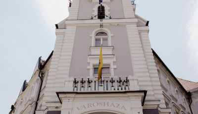 Ha p&eacute;nteken szeretn&eacute;d int&eacute;zni &uuml;gyeid a kaposv&aacute;ri V&aacute;rosh&aacute;z&aacute;n, tedd &aacute;t egy m&aacute;sik napra!