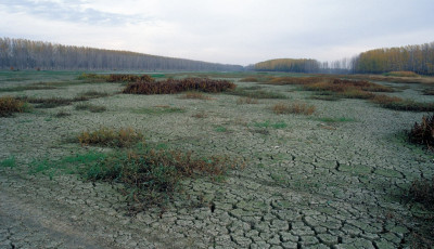 WWF: Magyarorsz&aacute;g m&aacute;r el&eacute;rte a t&uacute;lfogyaszt&aacute;s napj&aacute;t