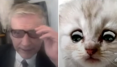 Cica-filter csapd&aacute;ba esett egy &uuml;gyv&eacute;d a Zoom meetingen