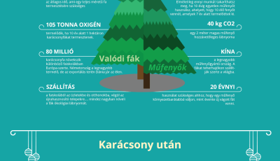 Melyik jobb a k&ouml;rnyezetnek: műfenyő vagy v&aacute;gott fenyő?