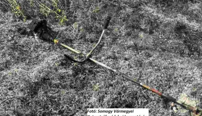 Kigyulladt egy fűkasza, vele egy&uuml;tt a kert &eacute;s a szomsz&eacute;d telke is - Rendőr&ouml;k mentett&eacute;k ki a s&uacute;lyosan s&eacute;r&uuml;lt f&eacute;rfit