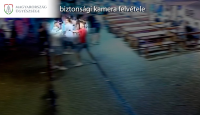 P&eacute;nzb&uuml;ntet&eacute;st &eacute;rt a si&oacute;foki cicaharc - VIDE&Oacute;