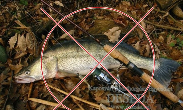 Horg&aacute;szati tilalom l&eacute;p &eacute;letbe a Desed&aacute;n m&aacute;rciust&oacute;l