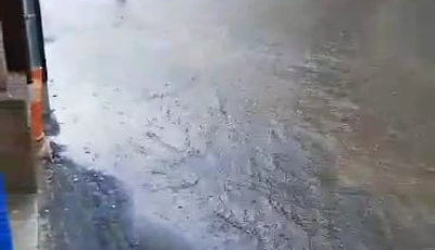 A vihar j&ouml;tt, az Ady &uacute;szott &ndash; VIDE&Oacute;