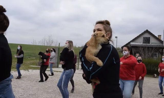 Si&oacute;foki &ouml;nk&eacute;ntesek &eacute;s menhelyi kutyusok k&ouml;z&ouml;sen ropj&aacute;k a kih&iacute;v&aacute;sra - VIDE&Oacute;
