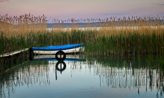 A n&aacute;dasban dugdosta a drogot, hogy azt&aacute;n Si&oacute;fokon eladja