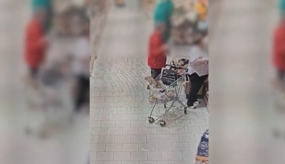 Kaposv&aacute;ron kapcsolt&aacute;k le az orsz&aacute;gj&aacute;r&oacute; rom&aacute;n tolvajokat - VIDE&Oacute;