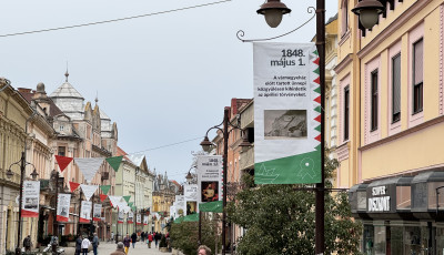 Kiker&uuml;ltek a szabads&aacute;gharc molin&oacute;i &eacute;s z&aacute;szl&oacute;i a Fő utc&aacute;ra