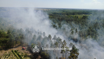 Kigyulladt egy boz&oacute;tos Dar&aacute;ny mellett, k&eacute;t hekt&aacute;ron puszt&iacute;tottak a l&aacute;ngok