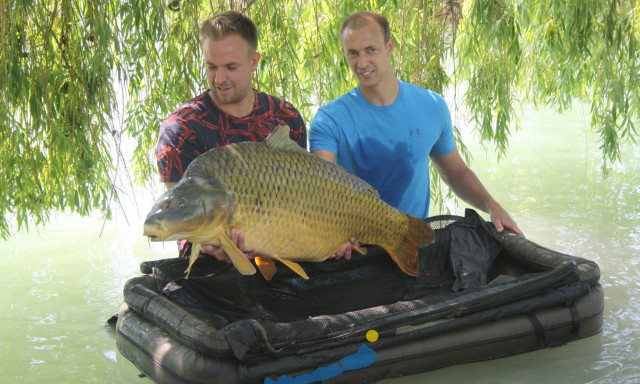 Gratul&aacute;lunk! Megdőlt a balatoni pontyrekord!