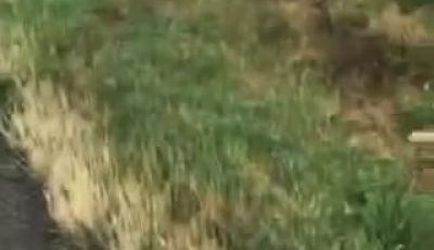 Cs&uacute;nya balesetet okozott egy sz&aacute;guldoz&oacute; Jut&aacute;n&aacute;l, mindenkit h&aacute;trahagyott - VIDE&Oacute;