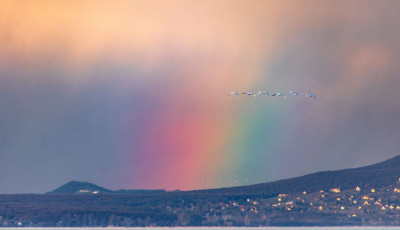 F&eacute;nyf&uuml;gg&ouml;ny tette var&aacute;zslatoss&aacute; a balatoni naplement&eacute;t