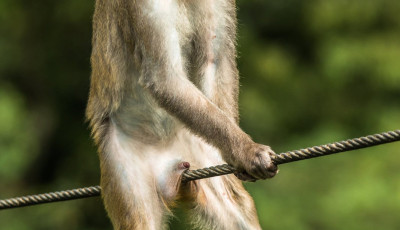 Id&eacute;n is olt&aacute;ri k&eacute;pek sz&uuml;lettek - Mutatjuk az &eacute;v legviccesebb term&eacute;szetfot&oacute;it