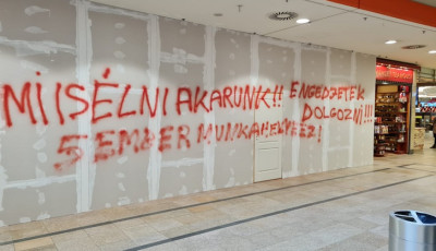 Befalazt&aacute;k a Freshland sal&aacute;tab&aacute;rt az &Aacute;rk&aacute;dban